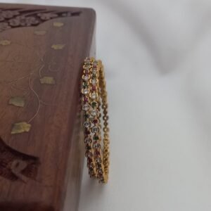 Elegant Thin Bangle Multicolour ( 2 Bangles) BG257